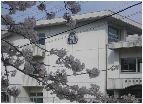 学校の写真　480*360