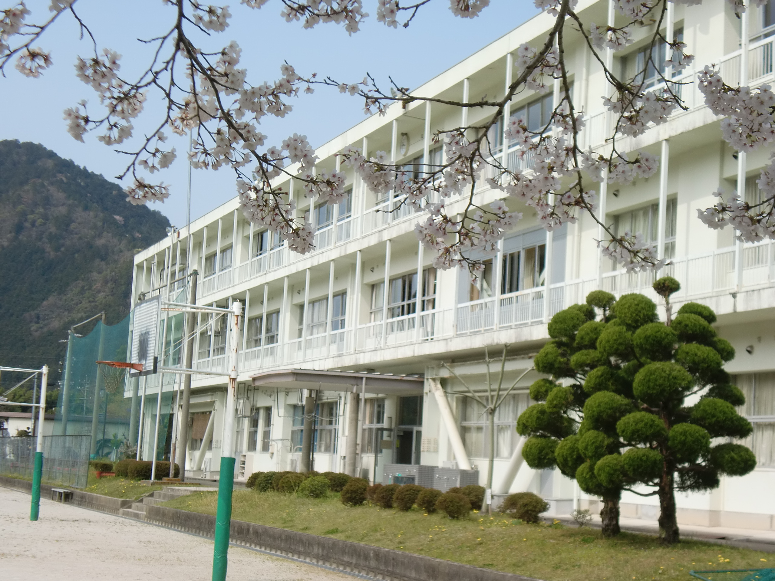 学校の写真　480*360