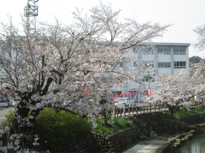 学校の写真　480*360