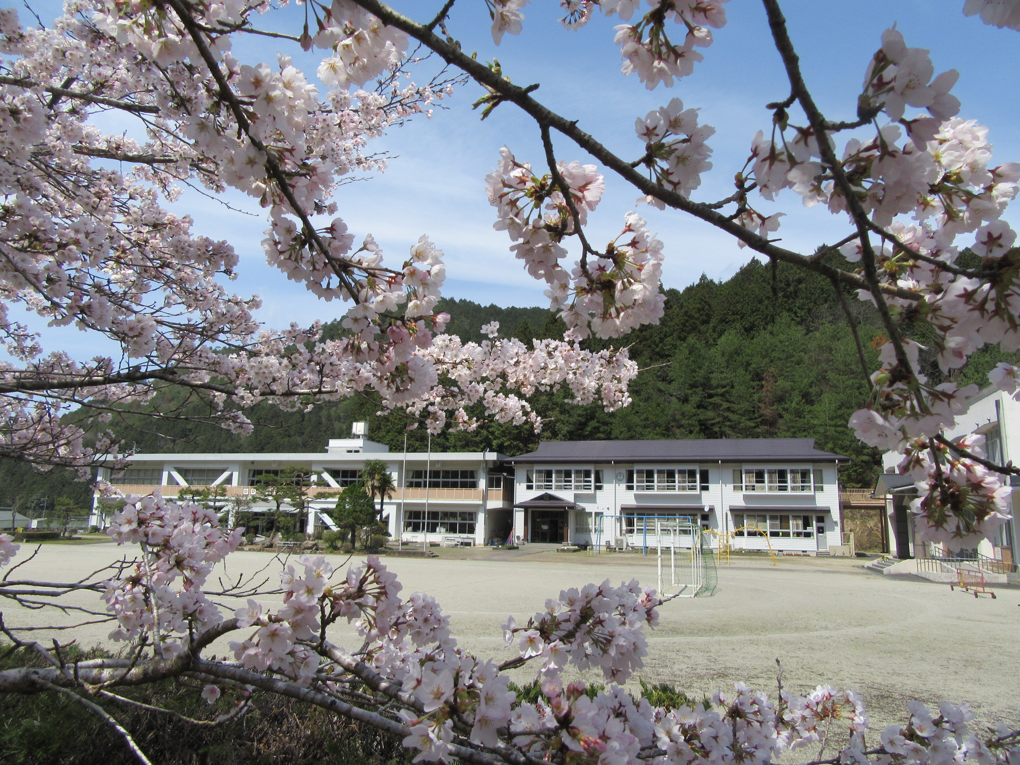 学校の写真　480*360